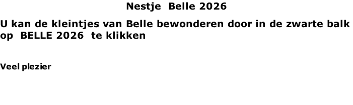 Nestje  Belle 2026 U kan de kleintjes van Belle bewonderen door in de zwarte balk op  BELLE 2026  te klikken  Veel plezier   .