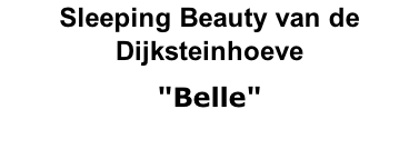Sleeping Beauty van de Dijksteinhoeve "Belle"